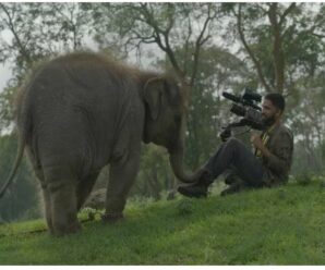 The Elephant Whisperers: Karan Thapliyal of Uttarakhand dominated the Oscars, said- ‘Raghu’ and ‘Ammu’ used to snatch even the camera