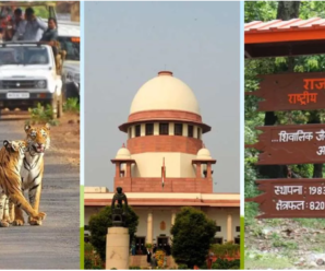Construction work can now be done in Corbett and Rajaji, Supreme Court lifts the ban; Know the whole matter