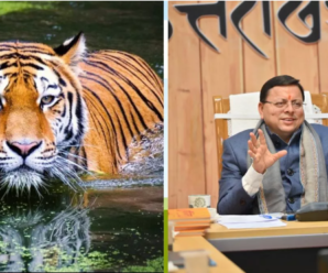Number of tigers increased in Uttarakhand, balance disturbed; Now the government is brainstorming on a new proposal